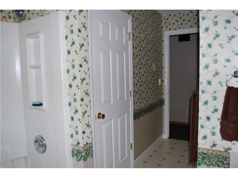 111 Pew Road Mercer, PA 16137 - Photo 18 of 22 Master Bath/Spa.