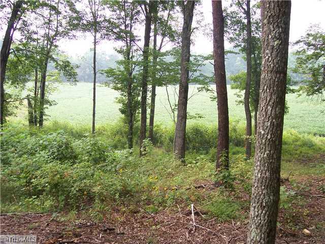 3 Creed Rd Mount Ararat, NC 27007 - Photo 2 of 6 Land/Lot.