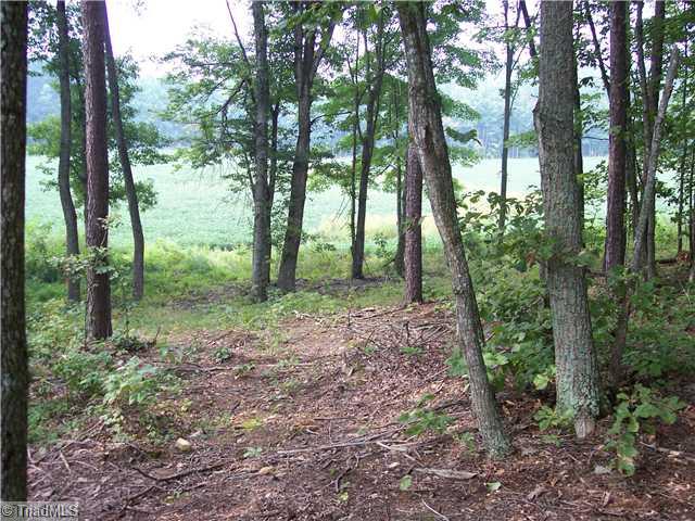 3 Creed Rd Mount Ararat, NC 27007 - Photo 3 of 6 Land/Lot.