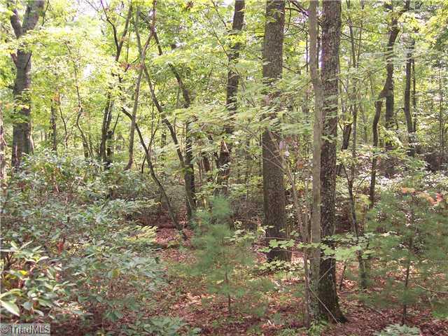 3 Creed Rd Mount Ararat, NC 27007 - Photo 4 of 6 Land/Lot.
