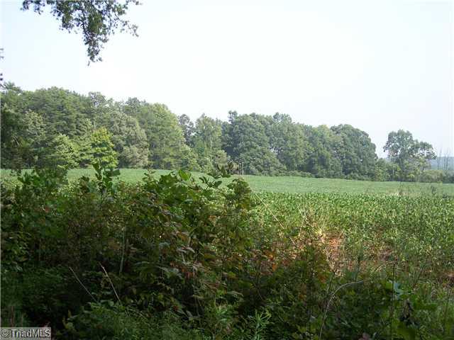 3 Creed Rd Mount Ararat, NC 27007 - Photo 5 of 6 Land/Lot.
