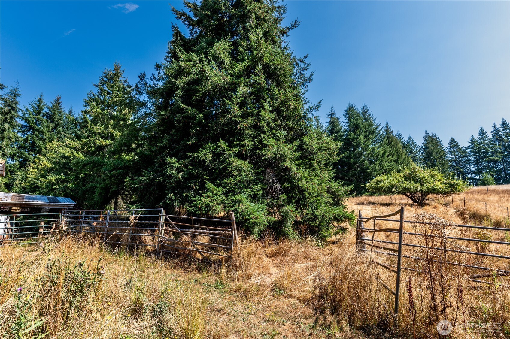 20648 Backman Road Southwest Rochester, WA 98579 - Photo 10 of 24 Gallery Image 10