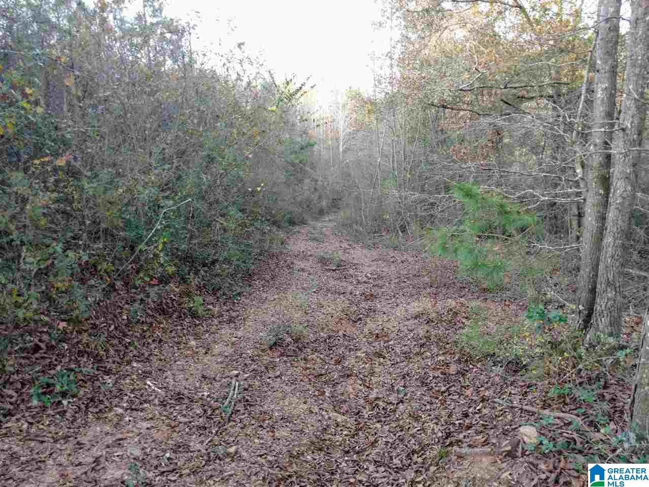 0 Mt Moriah Road, Unit 1 Delta, AL 36258 - Photo 12 of 19