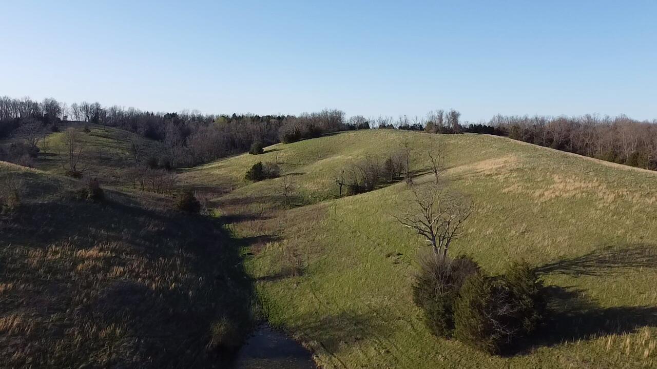 9999 Flat Bottom Road Owingsville, KY 40360 - Photo 3 of 8 PictureSrc (3)