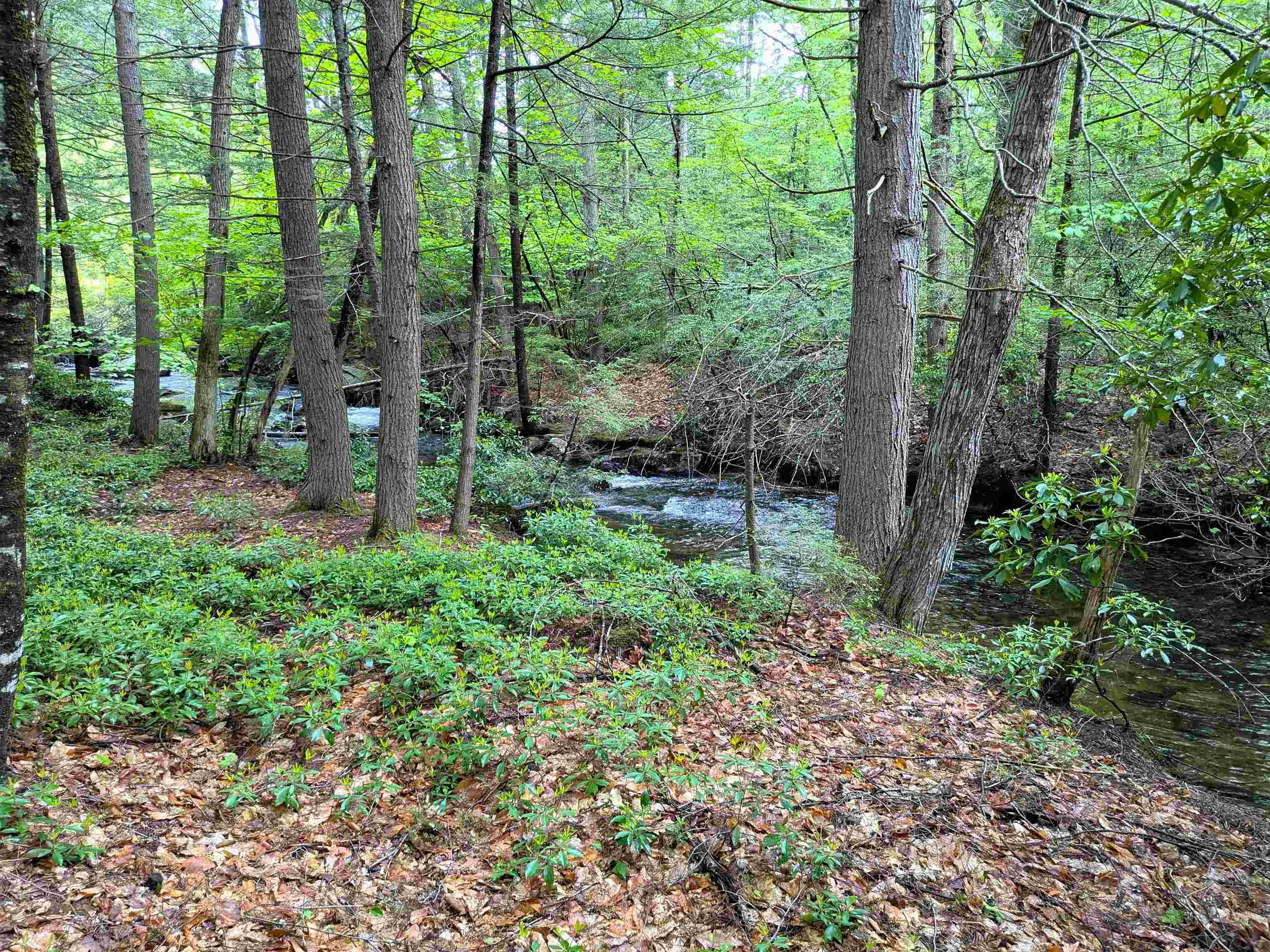 29 Bear Run Temple, NH 03084 - Photo 44 of 47