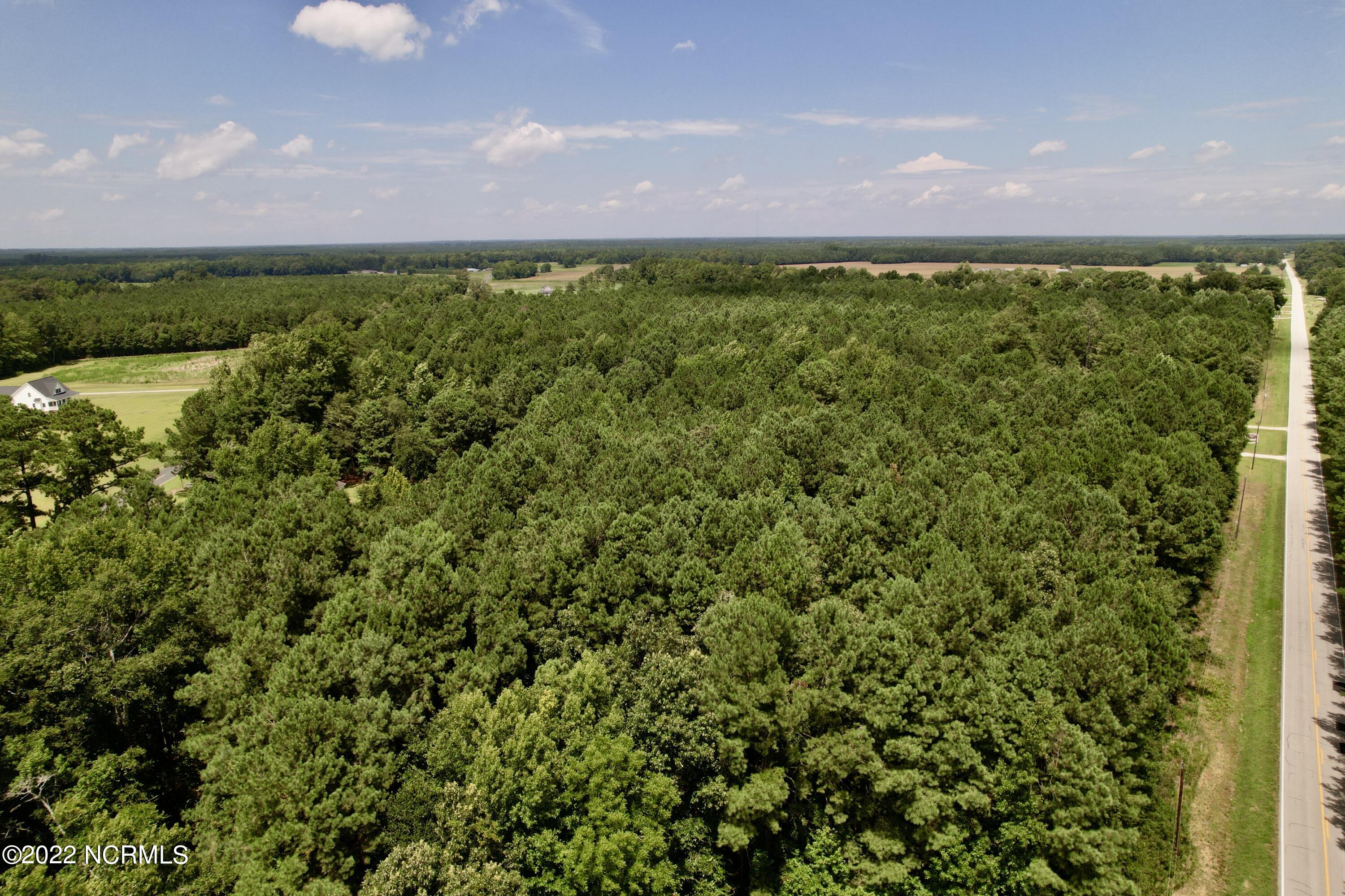 0 Dover Fort Barnwell Road Dover, NC 28526 - Photo 14 of 18 12