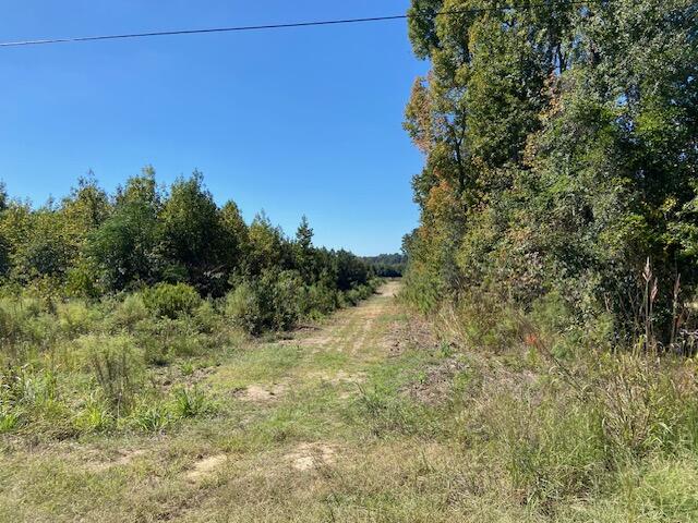 0 Todd Creek Road Neeses, SC 29107 - Photo 11 of 13 IMG_9514