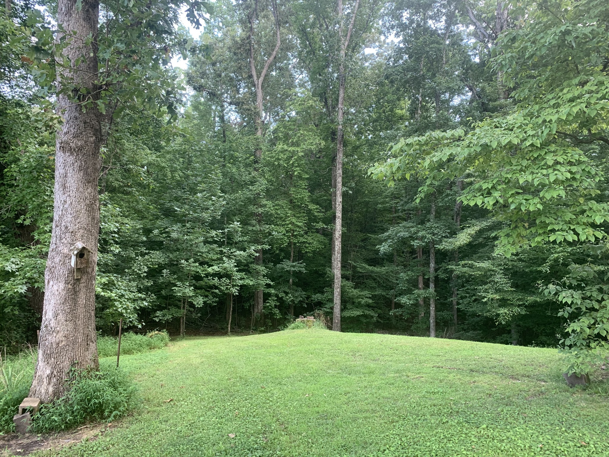 55 Old Road Counce, TN 38326 - Photo 28 of 30 Gallery Image 28