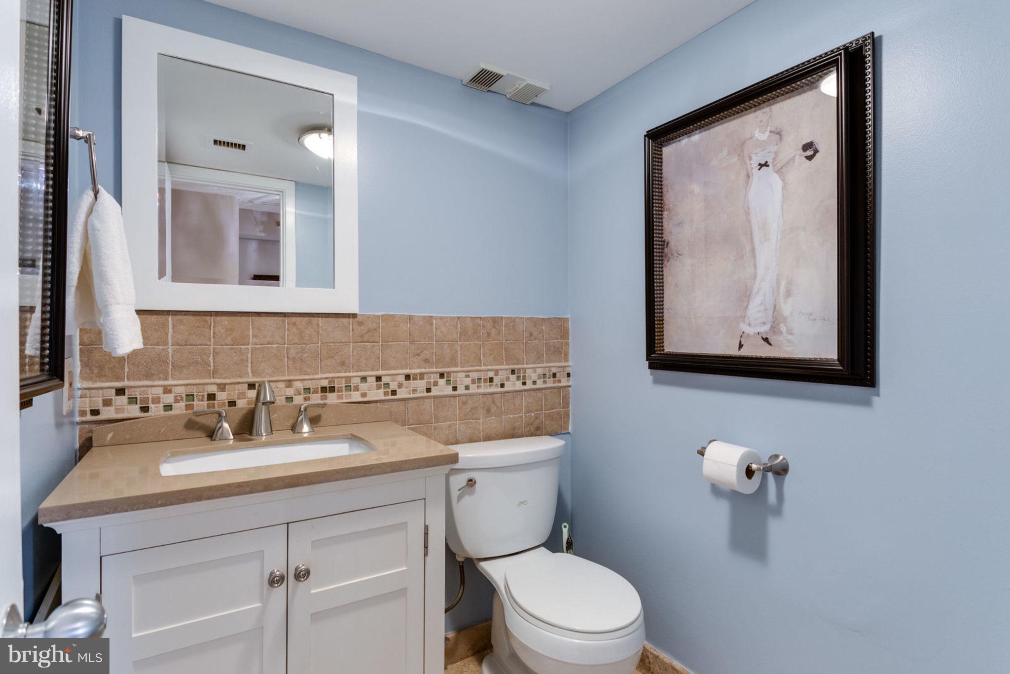5501 Seminary Road, Unit 1002S Falls Church, VA 22041 - Photo 24 of 51 fabulous powder room