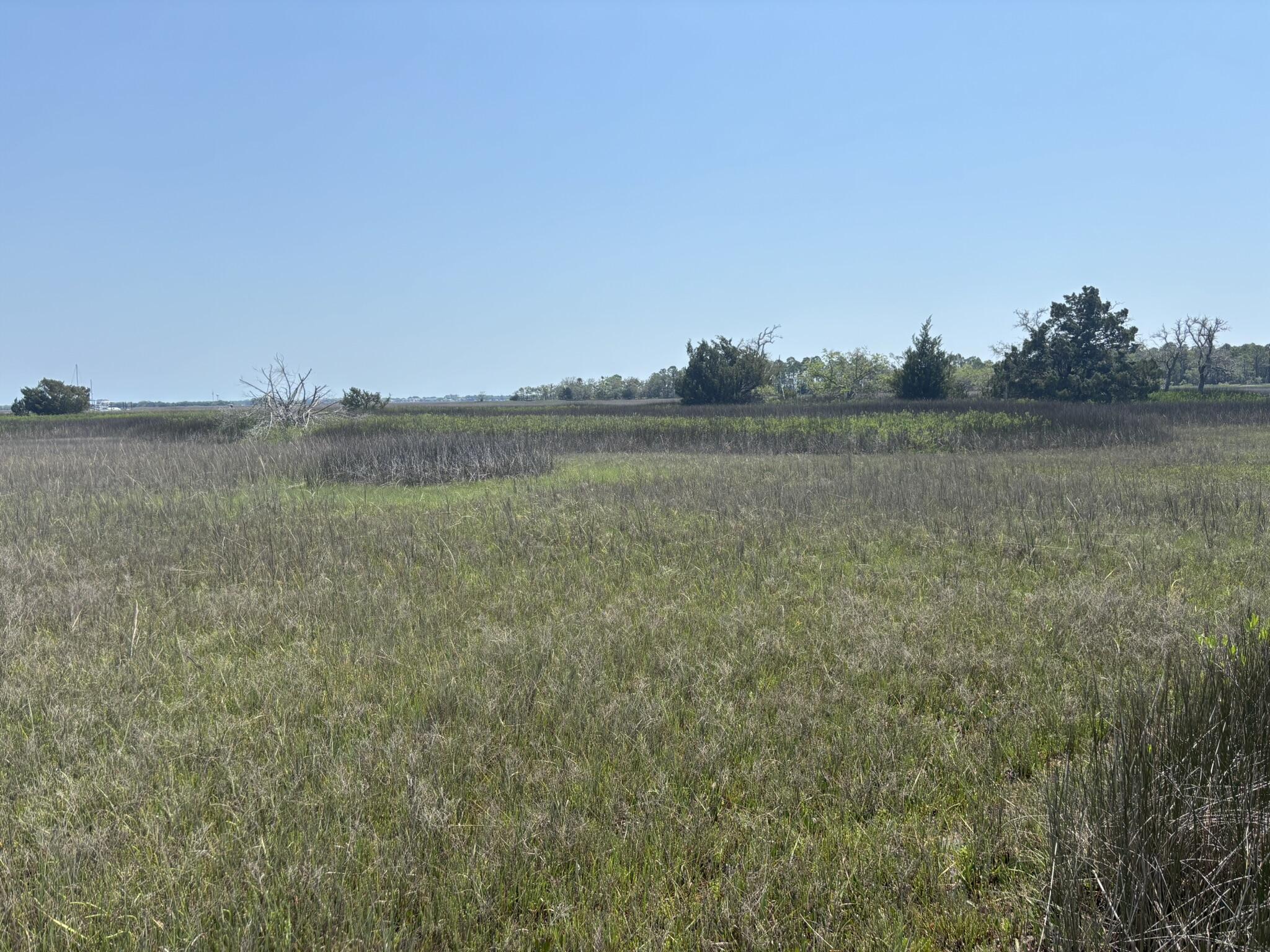 2035 Sol Legare Road Charleston, SC 29412 - Photo 6 of 26 IMG_2292
