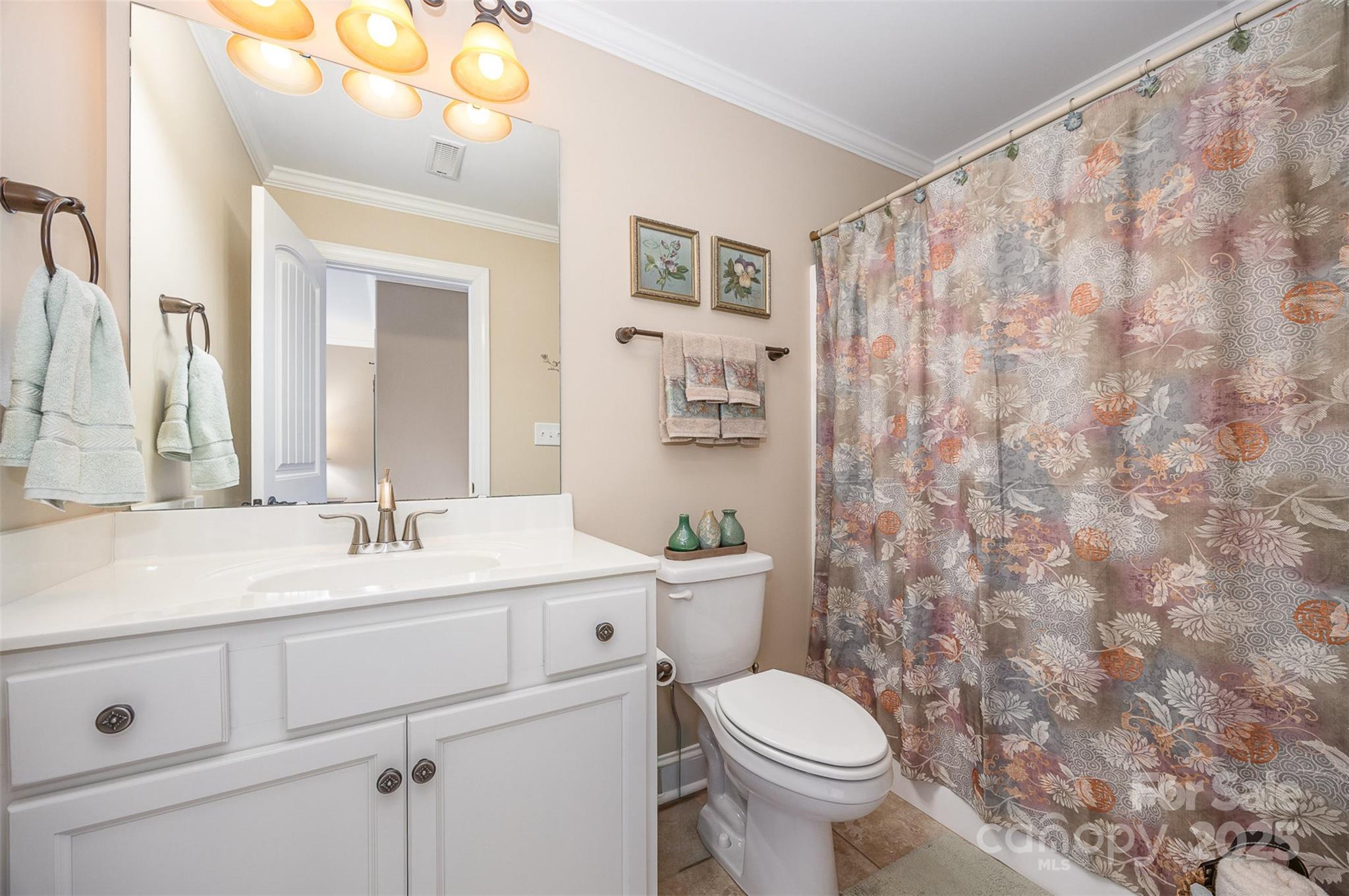 375 Pebblestone Court Lexington, NC 27295 - Photo 22 of 34 a bathroom with a sink a toilet and shower