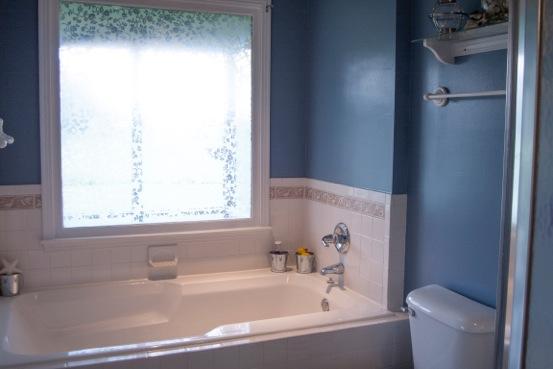 3757 Hoods Branch Road Springfield, TN 37172 - Photo 8 of 20 Huge soaking tub and separate shower.