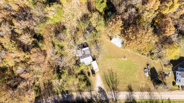 a bathroom with a tree