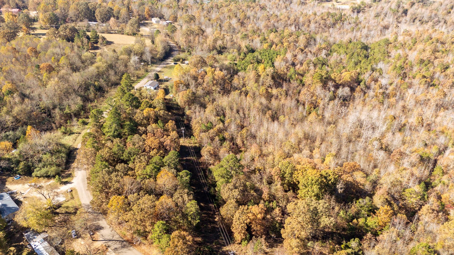 8069 Old Stage Road Adamsville, TN 38310 - Photo 11 of 34 a view of a covered with fog