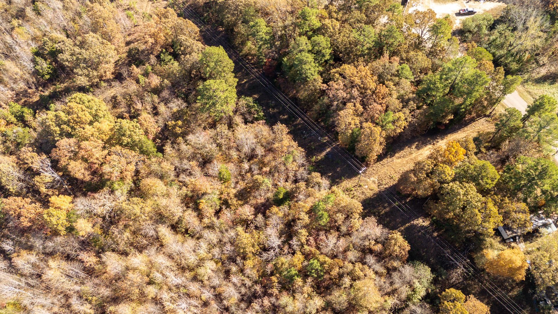 8069 Old Stage Road Adamsville, TN 38310 - Photo 14 of 34 a view of a tree