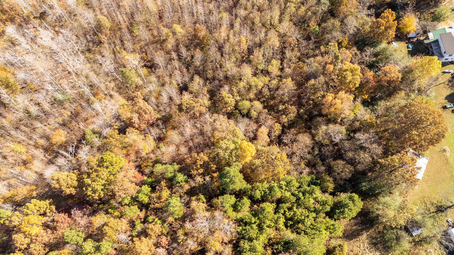 8069 Old Stage Road Adamsville, TN 38310 - Photo 16 of 34 a view of a yard