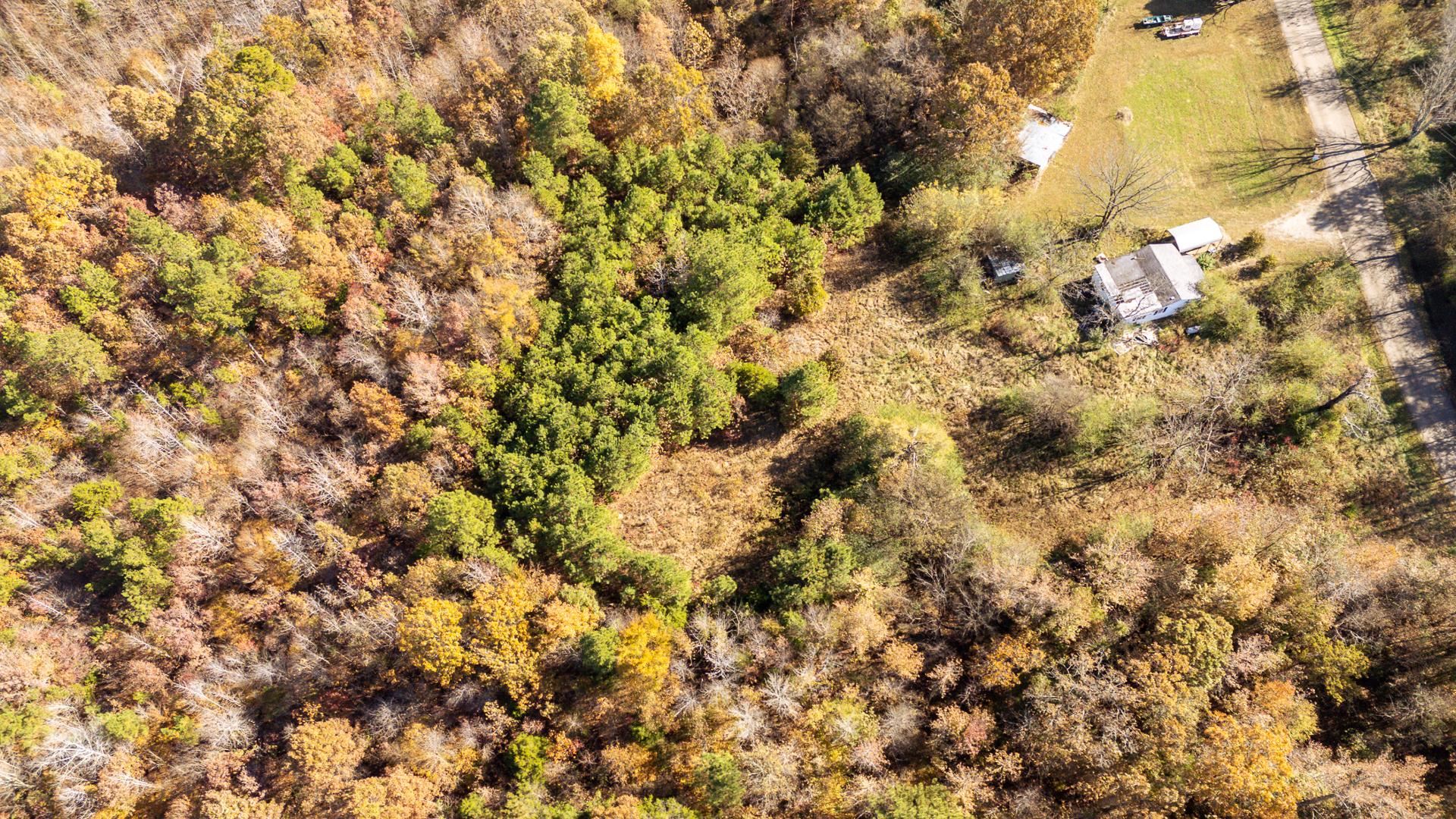 8069 Old Stage Road Adamsville, TN 38310 - Photo 17 of 34 a view of a tree