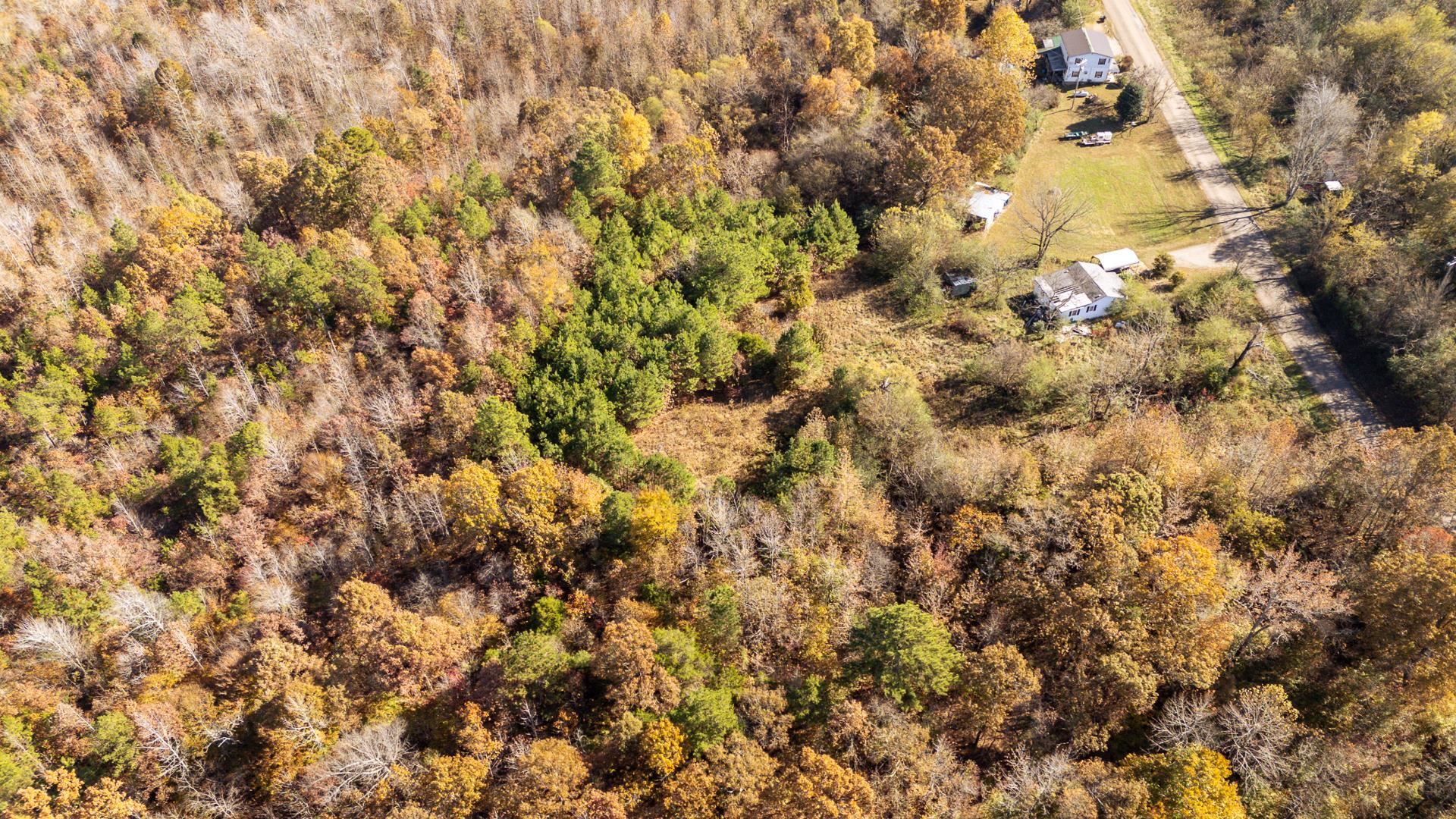8069 Old Stage Road Adamsville, TN 38310 - Photo 18 of 34 a view of a tree