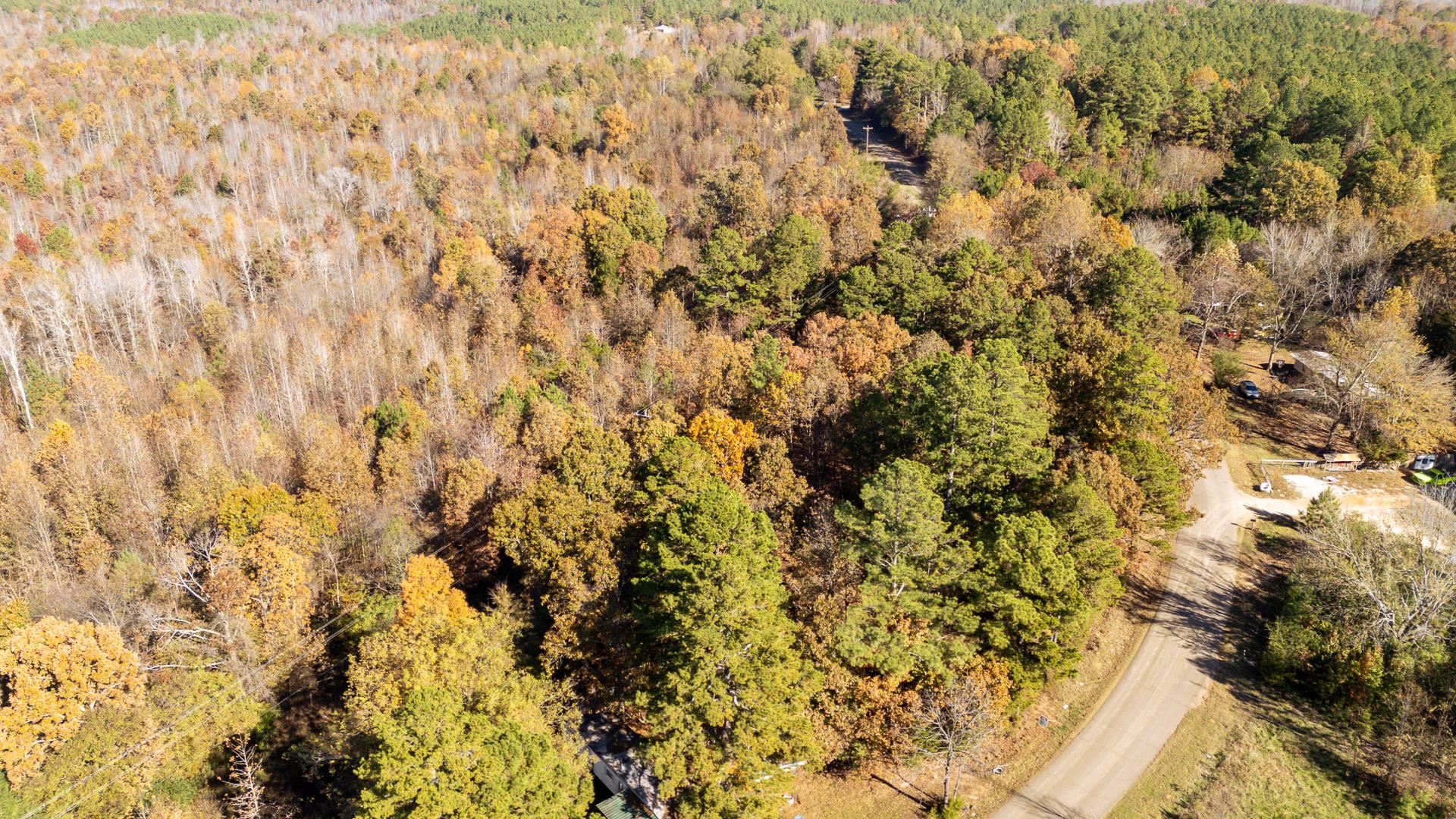 8069 Old Stage Road Adamsville, TN 38310 - Photo 2 of 34