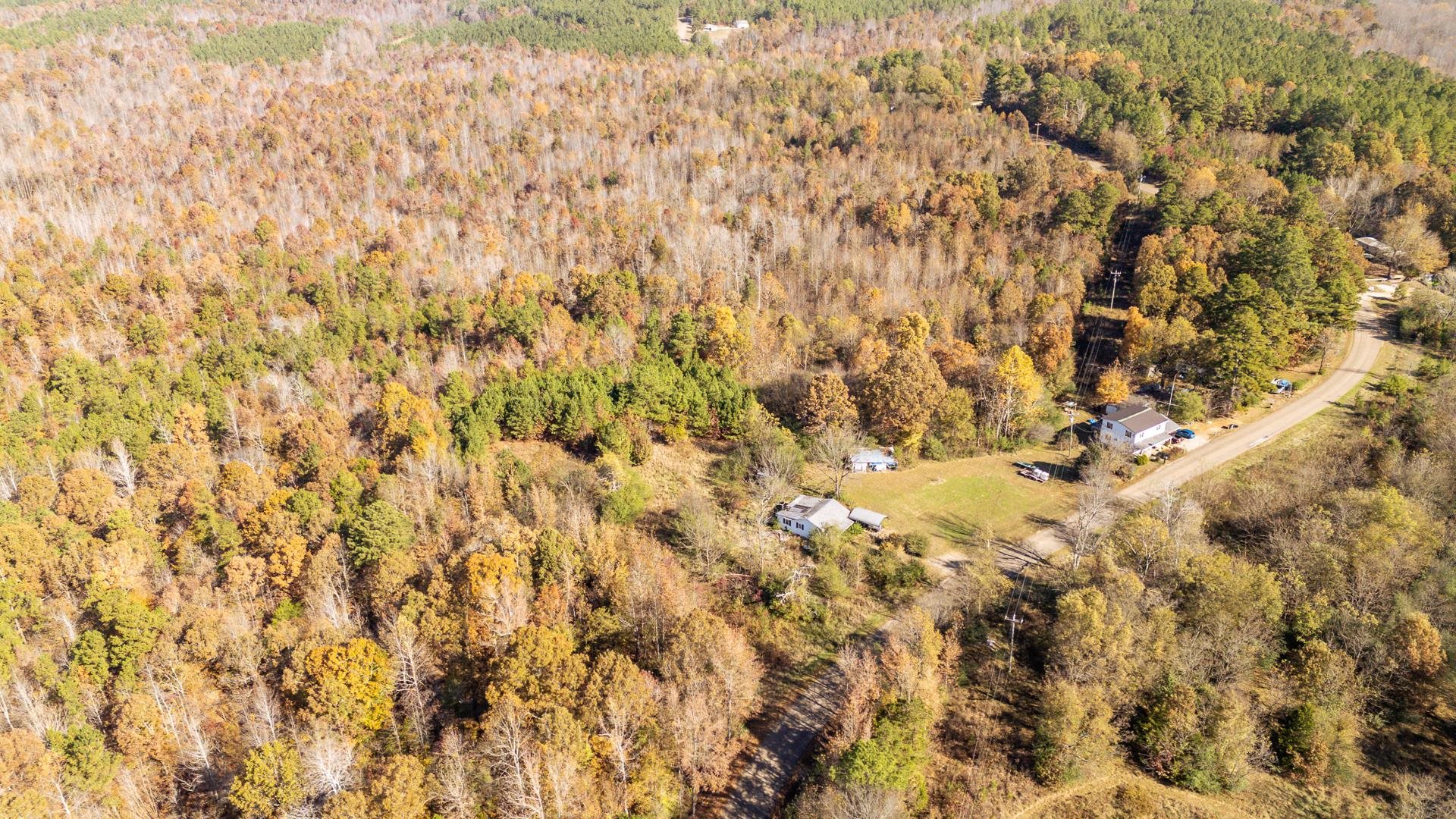 8069 Old Stage Road Adamsville, TN 38310 - Photo 21 of 34 a close up of a plant with a plant