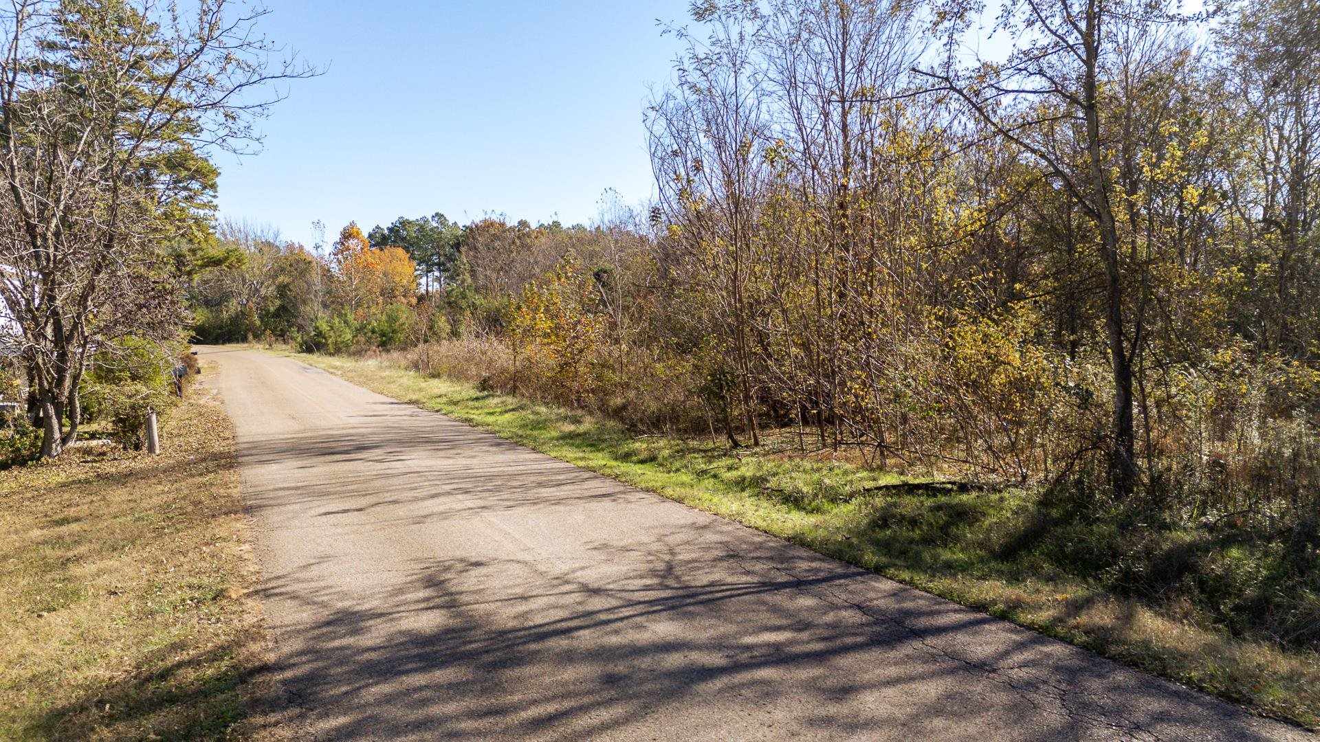 8069 Old Stage Road Adamsville, TN 38310 - Photo 23 of 34 a view of dirt yard with large trees