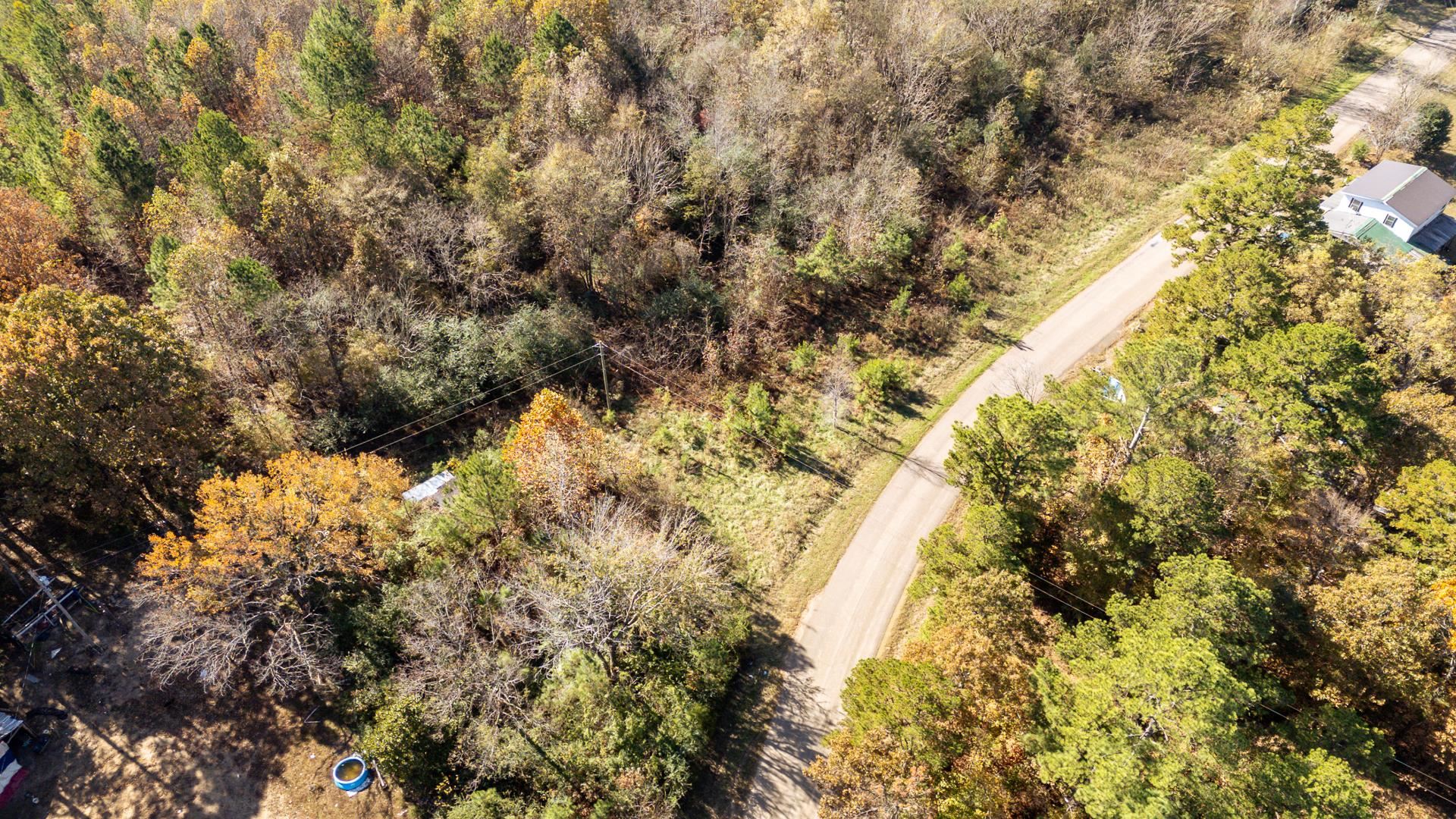 8069 Old Stage Road Adamsville, TN 38310 - Photo 30 of 34 a close up of a tree