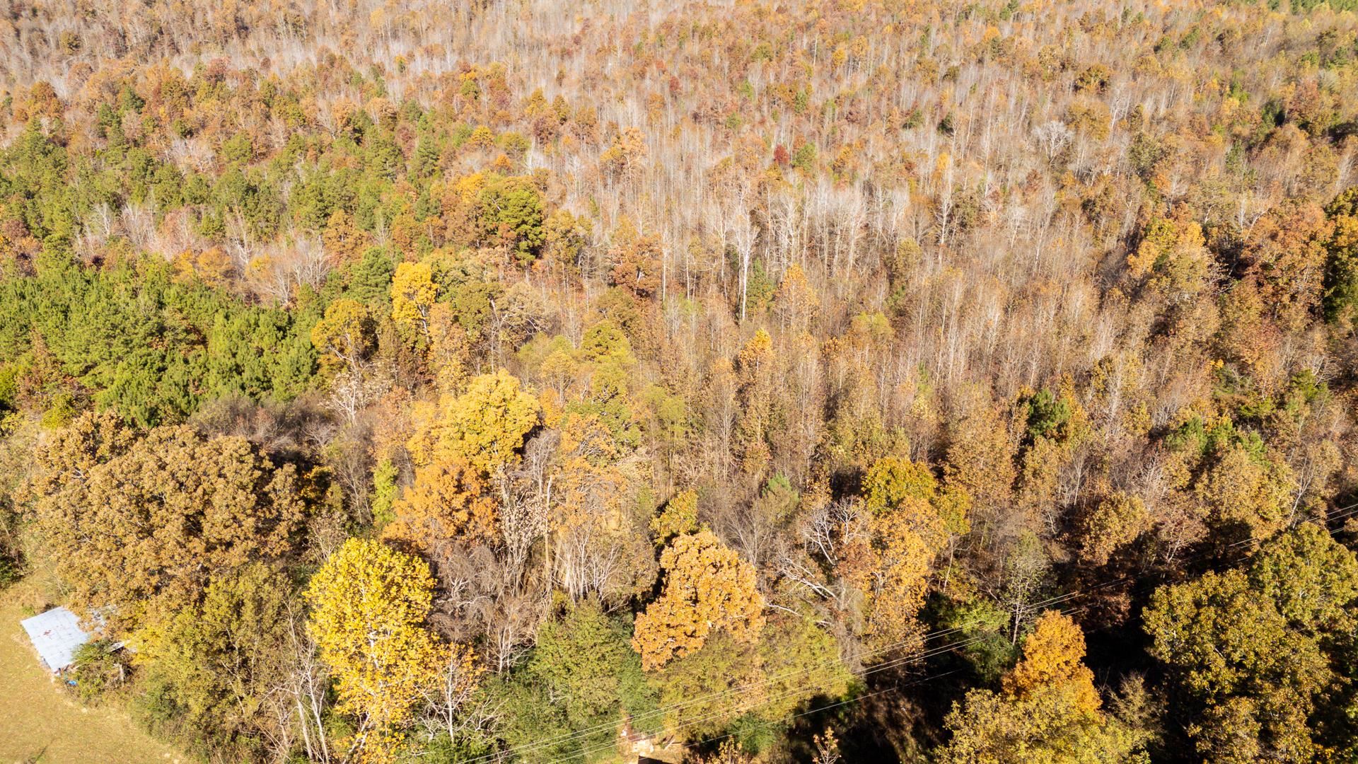 8069 Old Stage Road Adamsville, TN 38310 - Photo 3 of 34