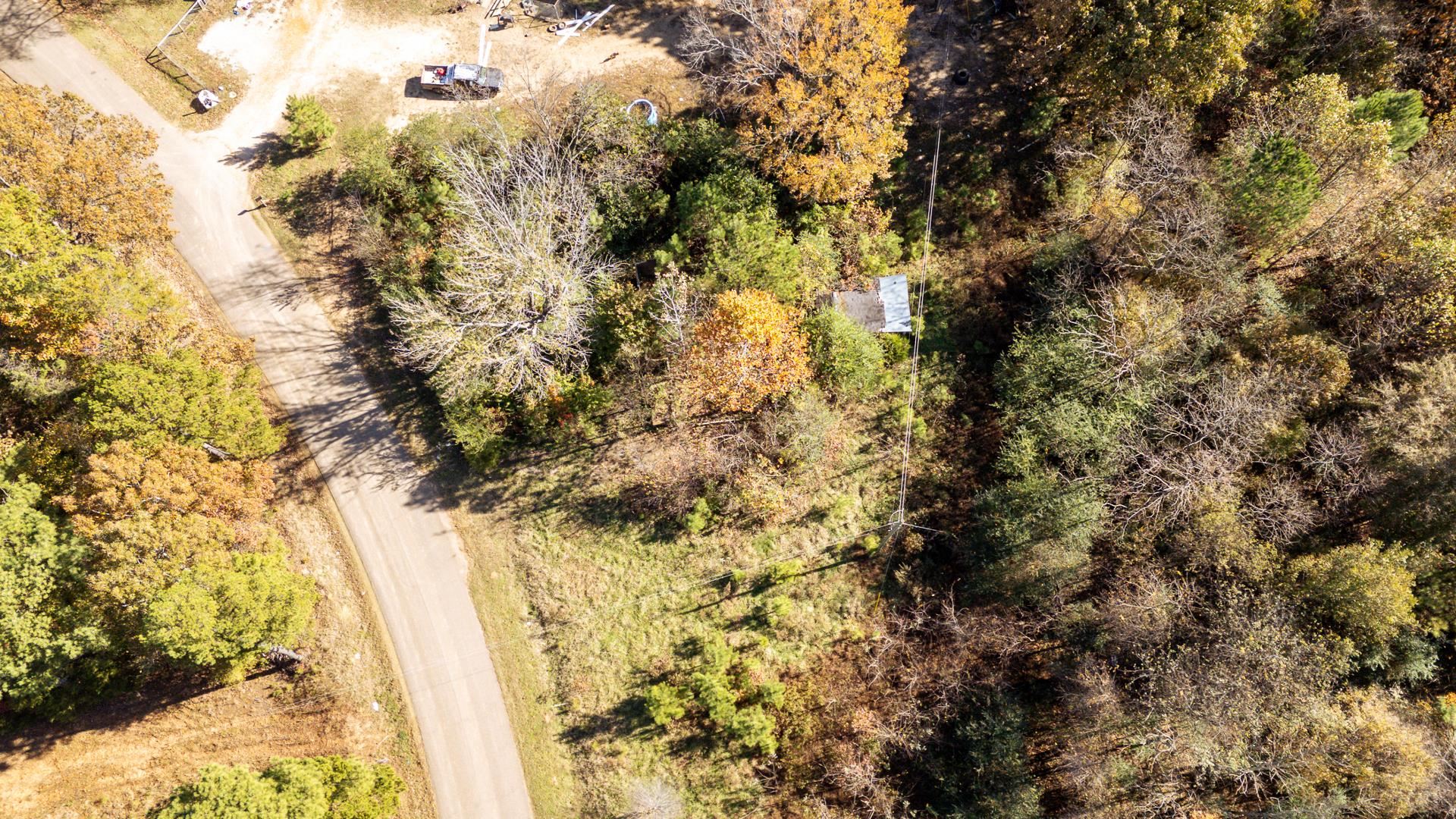 8069 Old Stage Road Adamsville, TN 38310 - Photo 31 of 34 a view of a tree in a yard