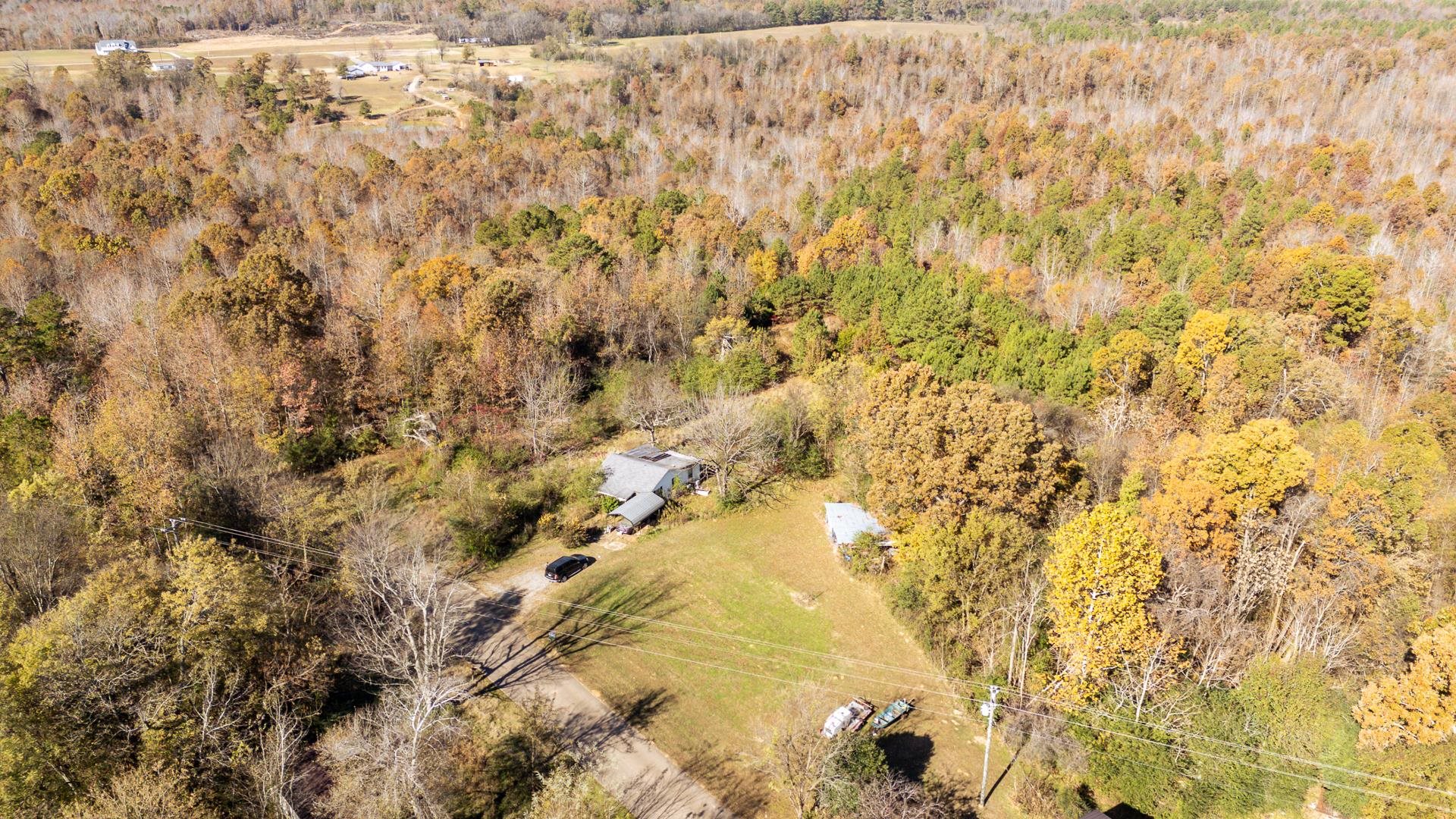 8069 Old Stage Road Adamsville, TN 38310 - Photo 4 of 34 a bathroom with a tree