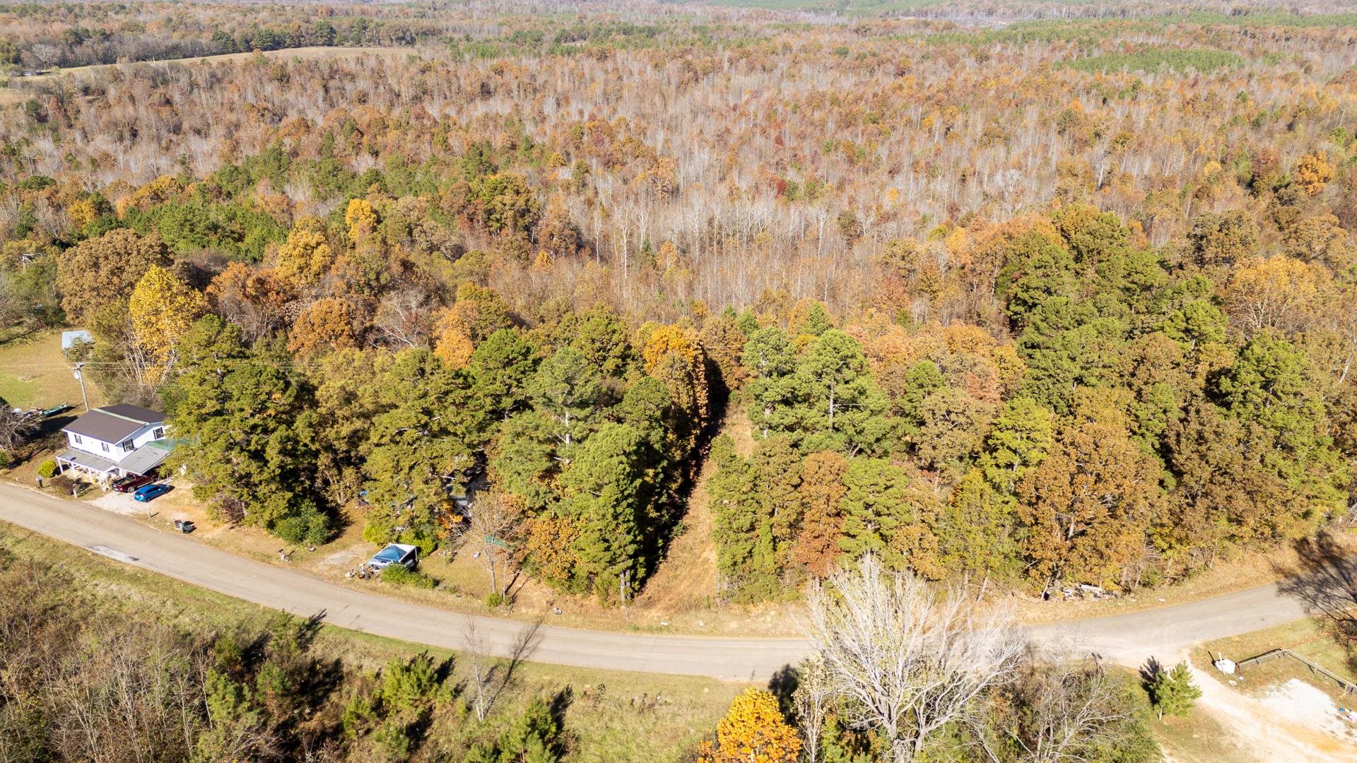 8069 Old Stage Road Adamsville, TN 38310 - Photo 5 of 34 a view of a yard