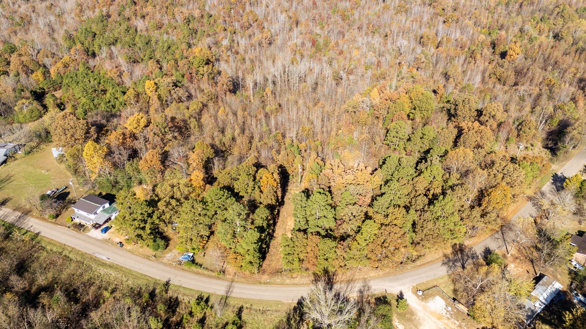 8069 Old Stage Road Adamsville, TN 38310 - Photo 6 of 34 a view of statue with a tree in the background