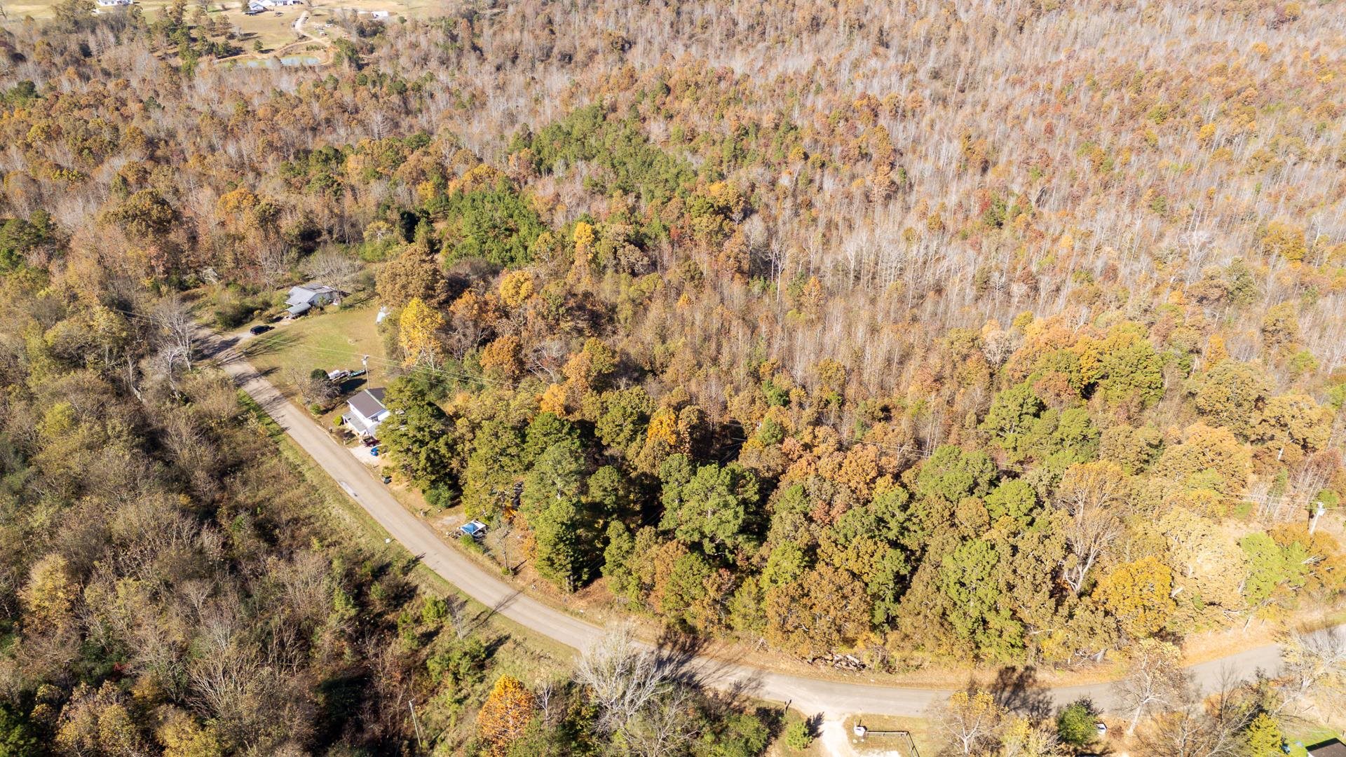 8069 Old Stage Road Adamsville, TN 38310 - Photo 7 of 34 a picture of a tree