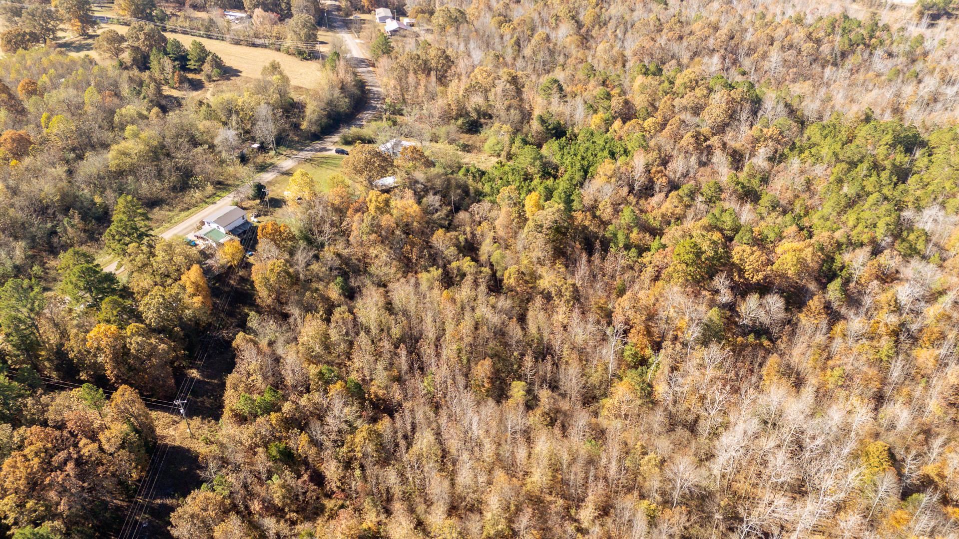 8069 Old Stage Road Adamsville, TN 38310 - Photo 9 of 34 a view of a covered with fog
