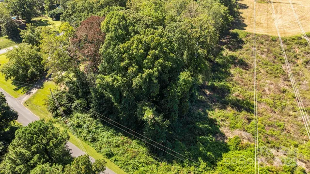 a view of a garden with plants