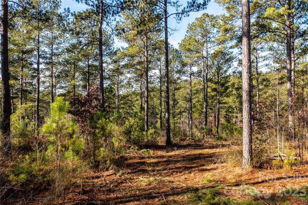 G3 Dry Ponds Road Granite Falls, NC 28630 - Photo 3 of 10 a view of a yard with large trees