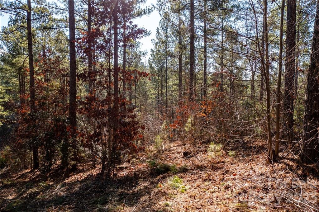 G3 Dry Ponds Road Granite Falls, NC 28630 - Photo 5 of 10 a view of a yard with a tree