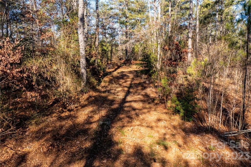 G3 Dry Ponds Road Granite Falls, NC 28630 - Photo 6 of 10 a view of a yard with a tree
