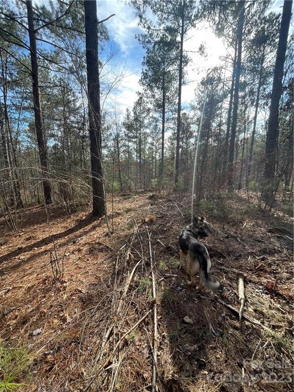 G3 Dry Ponds Road Granite Falls, NC 28630 - Photo 10 of 10 a view of a forest filled with trees