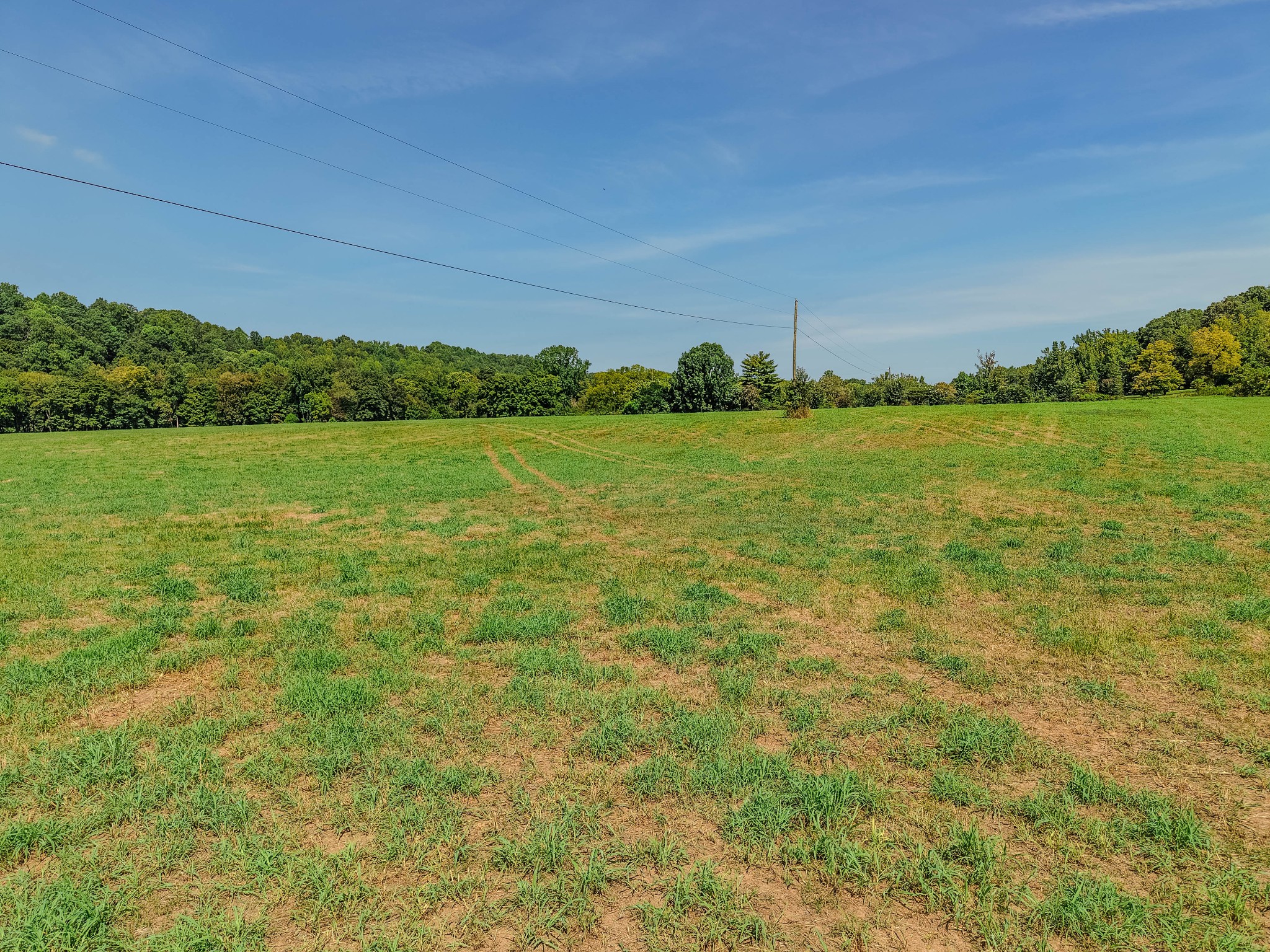 9270 Last Butler Creek Road Iron City, TN 38463 - Photo 25 of 86 Gallery Image 25