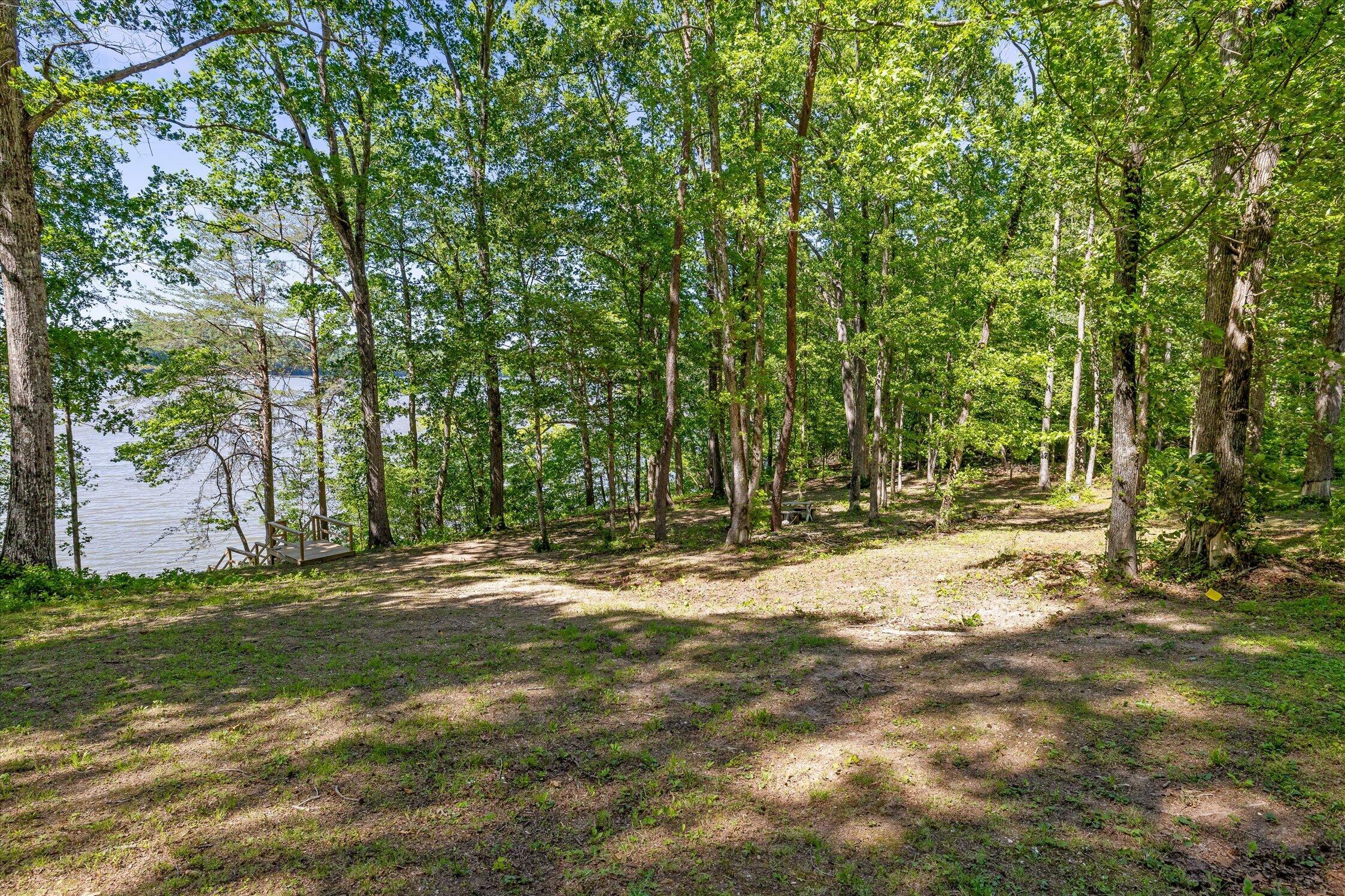 15025 May Road Sale Creek, TN 37373 - Photo 78 of 109 068-May-66