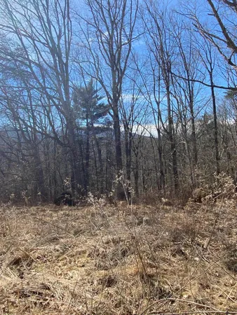 a dry yard with trees in the back