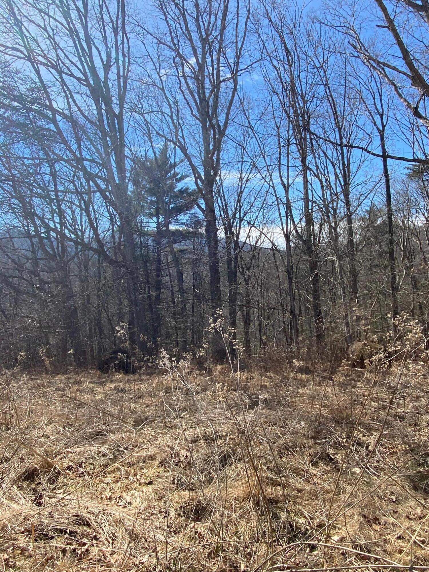 Lot 28 River Rock Road Vinton, VA 24179 - Photo 3 of 9 a dry yard with trees in the back