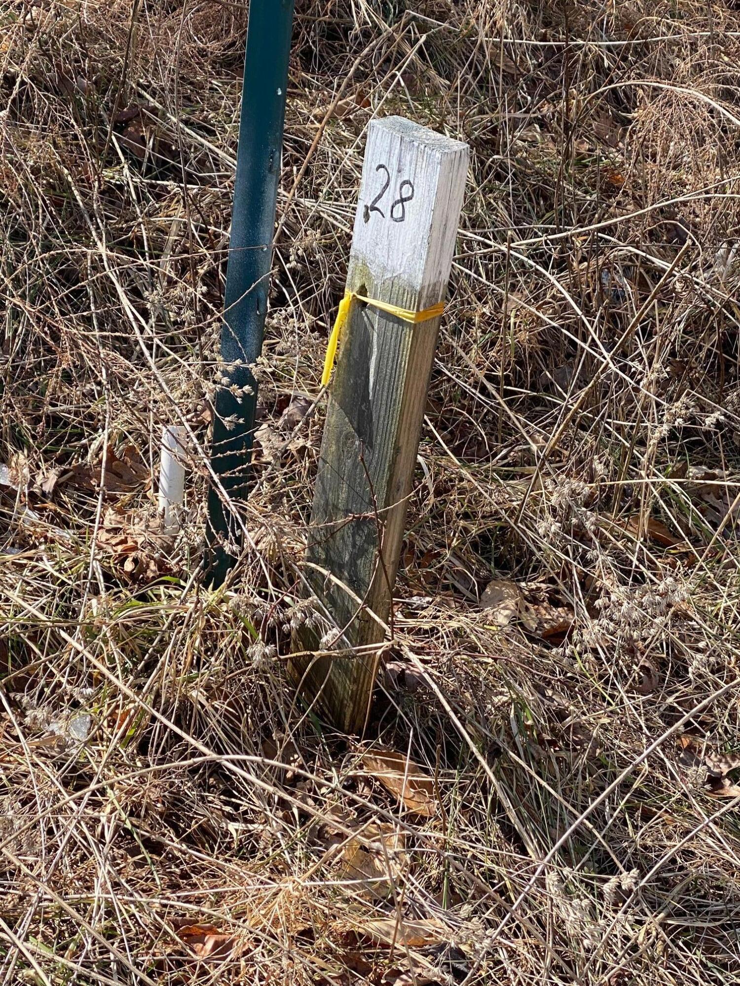 Lot 28 River Rock Road Vinton, VA 24179 - Photo 4 of 9 unknown