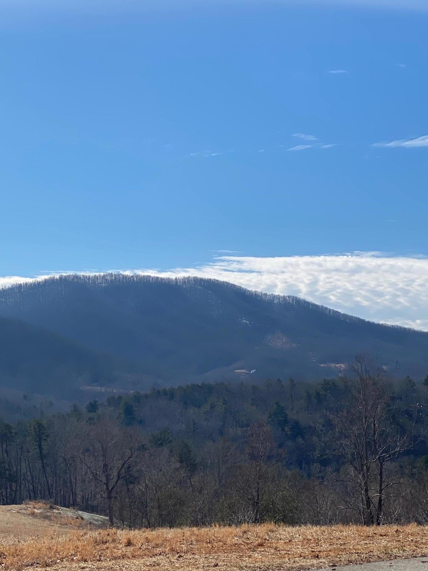Lot 28 River Rock Road Vinton, VA 24179 - Photo 6 of 9 a view of a backyard
