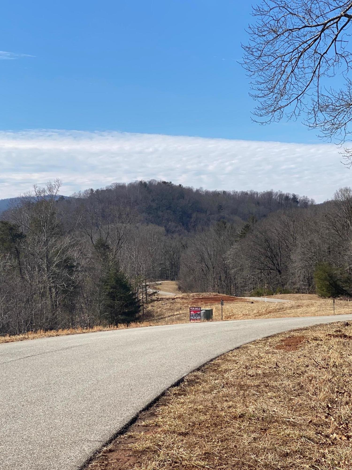 Lot 28 River Rock Road Vinton, VA 24179 - Photo 7 of 9 a view of mountain view with mountain
