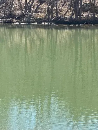 a view of a lake view