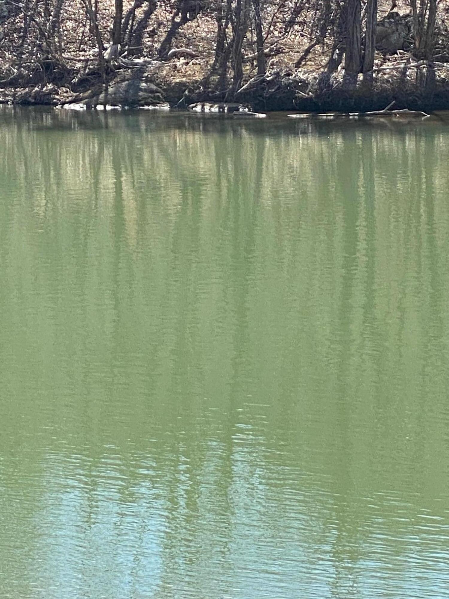 Lot 28 River Rock Road Vinton, VA 24179 - Photo 8 of 9 a view of a lake view