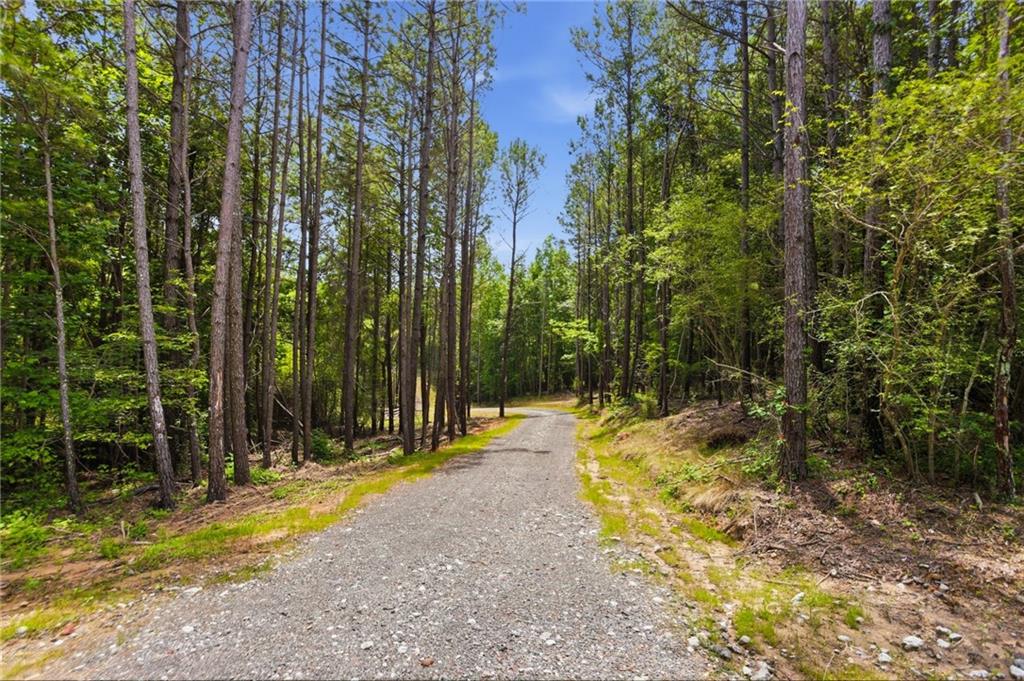 Lot 1 Pete Path Dallas, GA 30157 - Photo 1 of 21