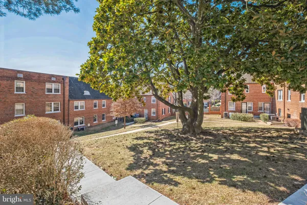 a large tree in front of a brick house