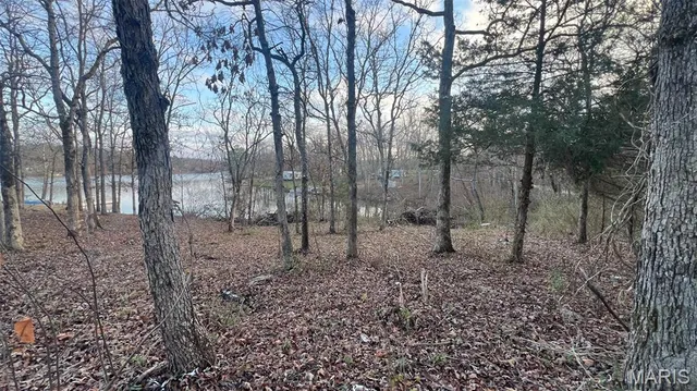 $12,500 | 0 Lot 27 Lake, Fredericktown, MO 63645
